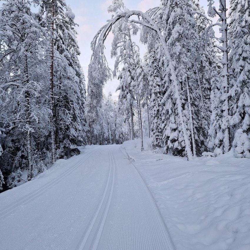 Er du glad i vinteraktiviteter så er området perfekt for deg. Her har du svært gode lysløyper med skiløyper og Lillomarka arena med proffe løyper Galleribilde
