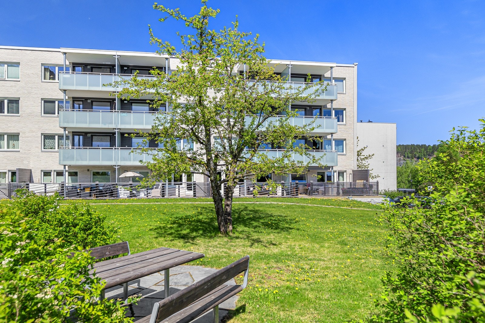 Fellesarealer Galleribilde
