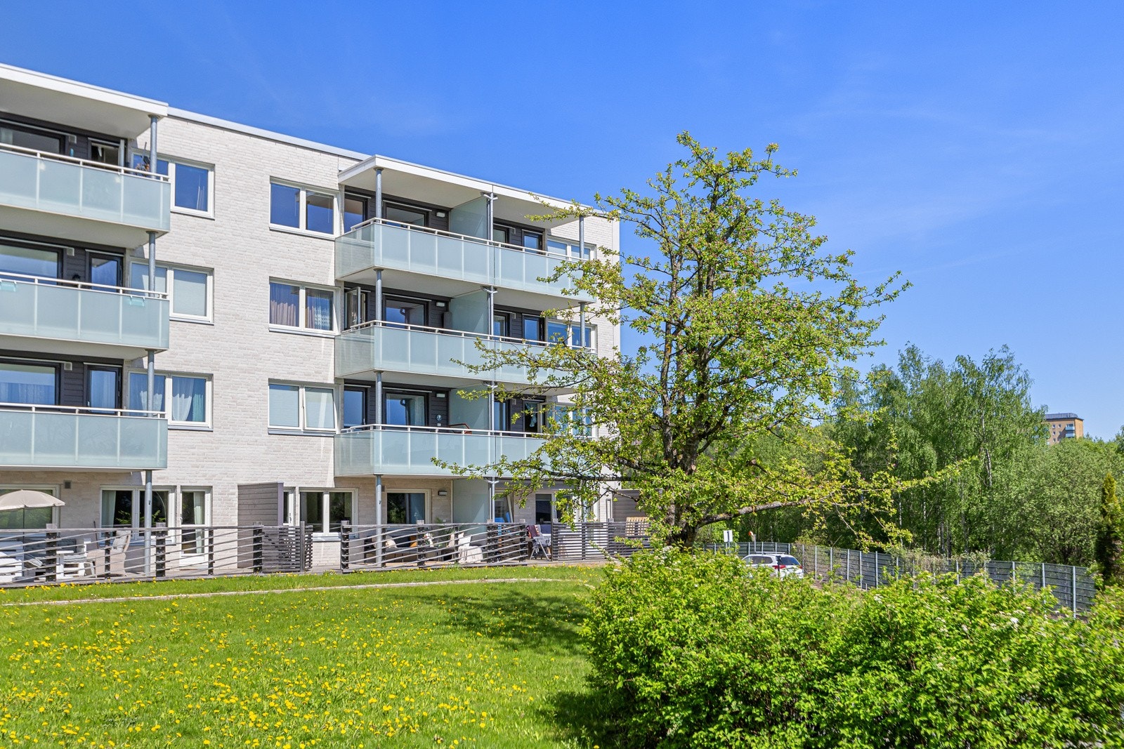 Fellesarealer Galleribilde