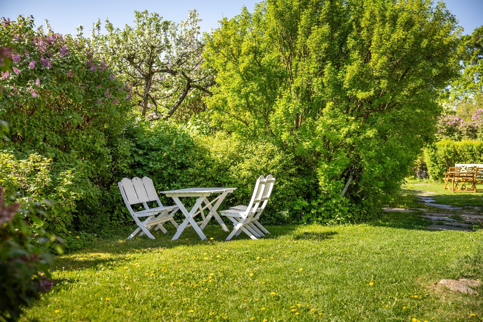 Flere av parsellene er felles for borettslaget. Galleribilde