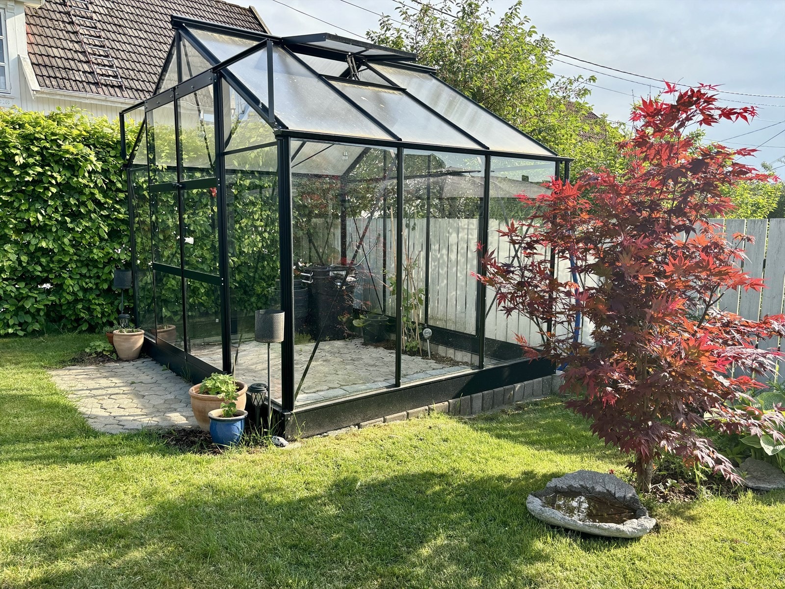 Koselig drivhus i hagen. Galleribilde