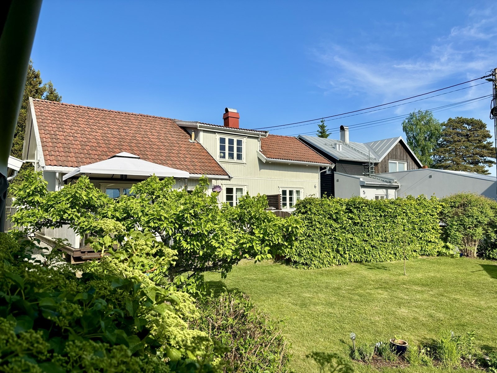 Grønn og frodig hage! Omkranset av hekk. Galleribilde