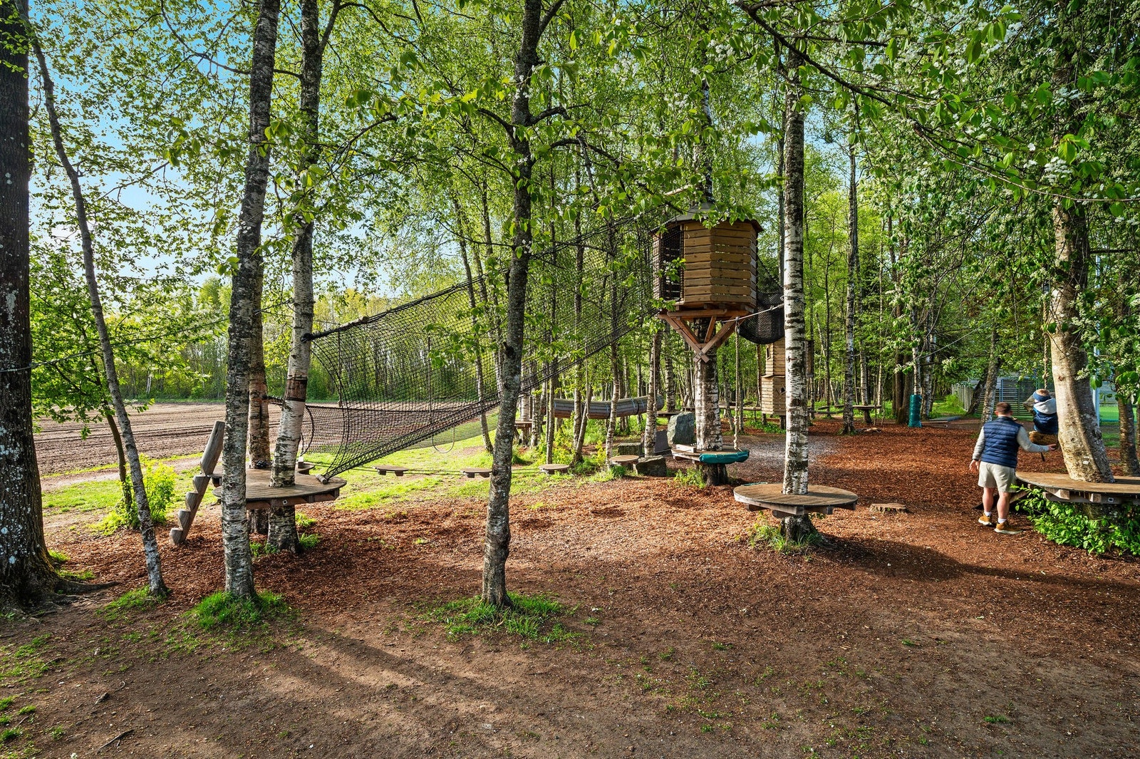 I samarbeid med en utbygger har skolen bygget en flott klatreløype i trærne Galleribilde