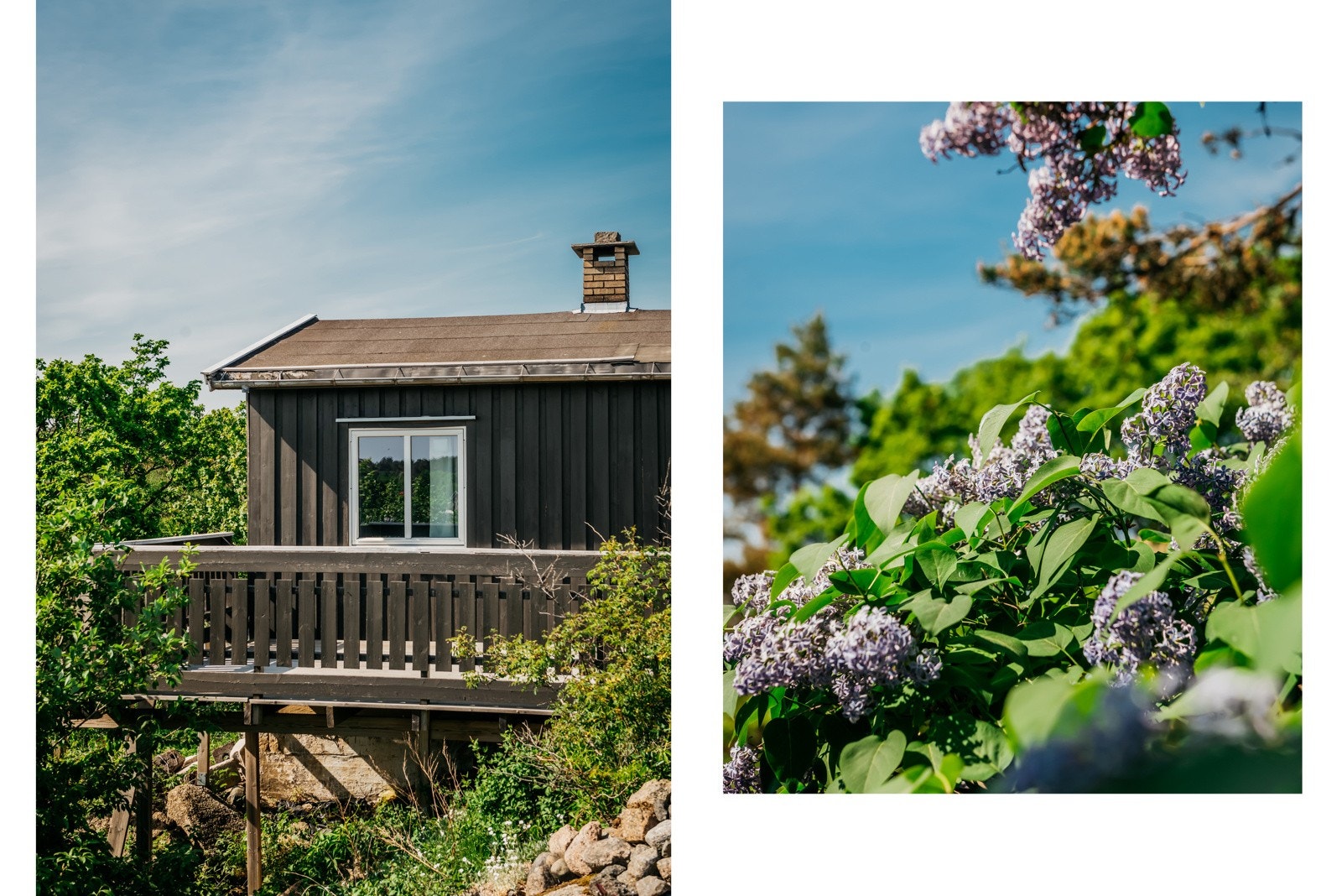 Diverse Galleribilde