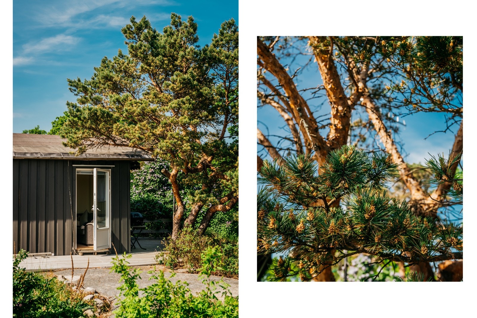 Diverse Galleribilde