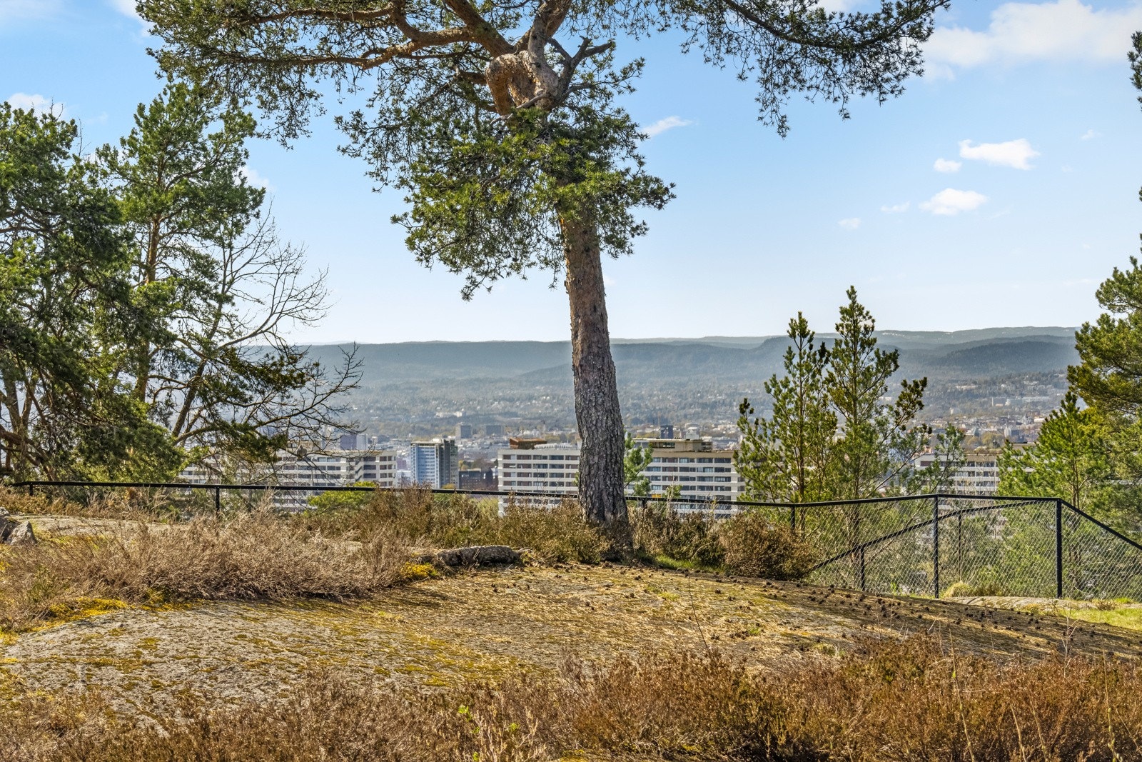 Flott usikt ned mot sentrum. Galleribilde