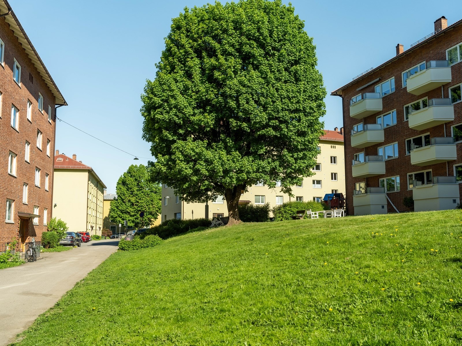 Fellesarealer Galleribilde