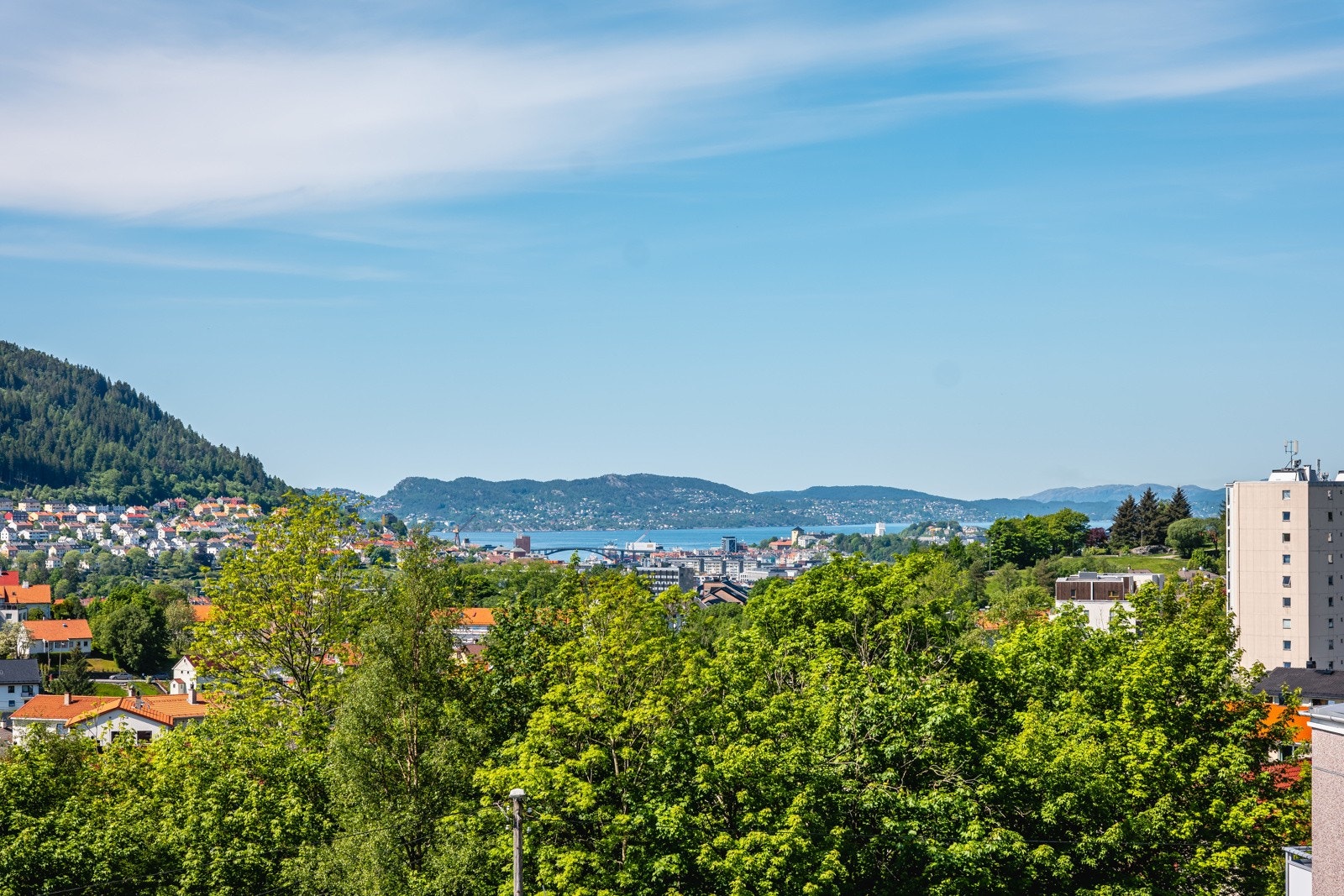 Nydelig utsikt fra leiligheten! Galleribilde