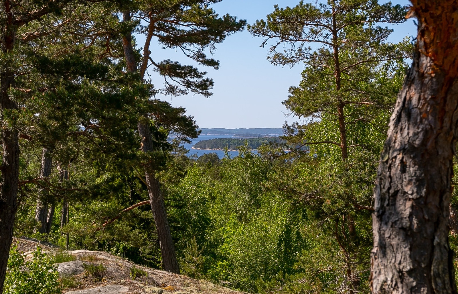 Utsikt mot syd/vest Galleribilde