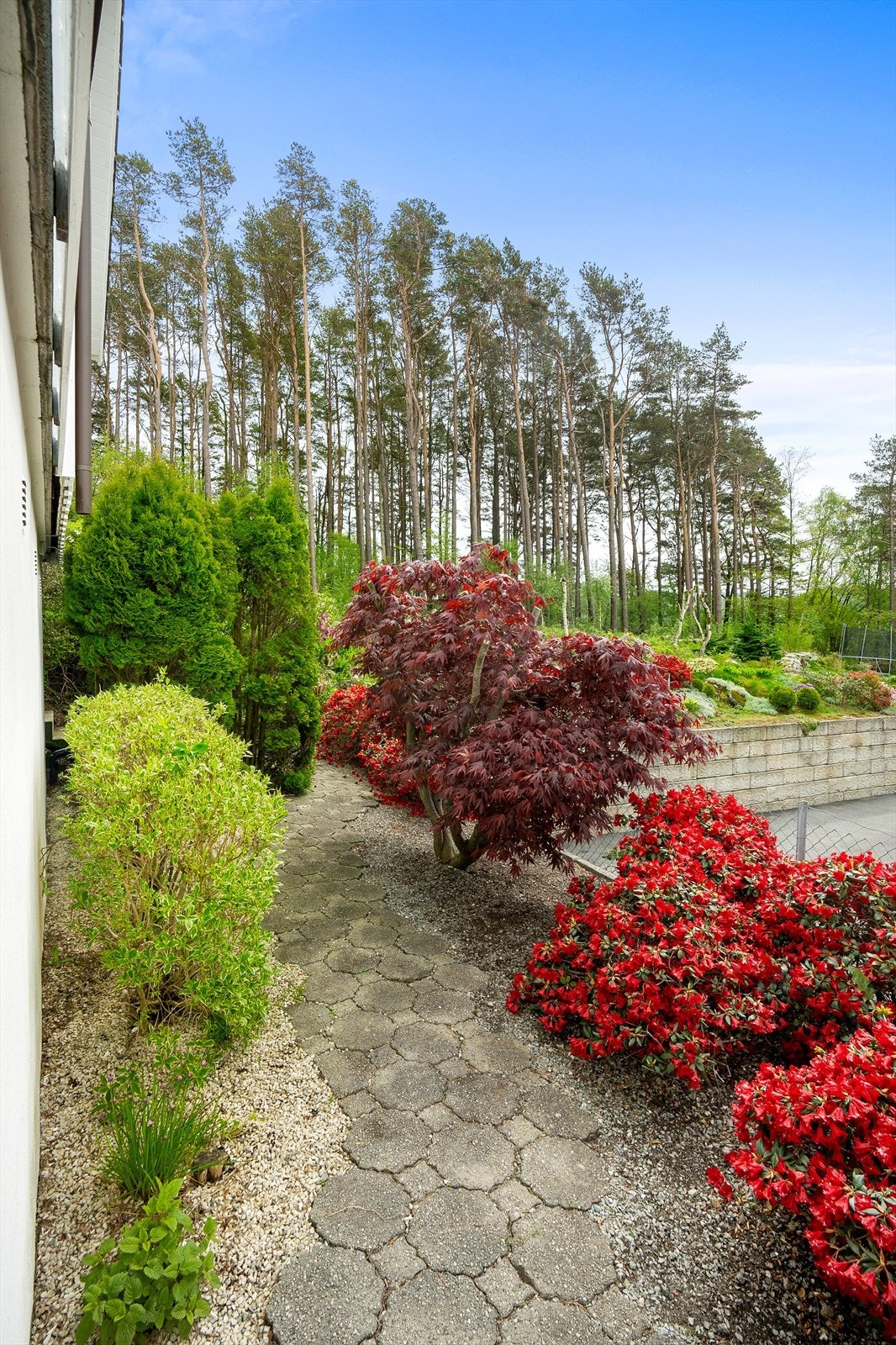 Flott beplantning rundt boligen Galleribilde