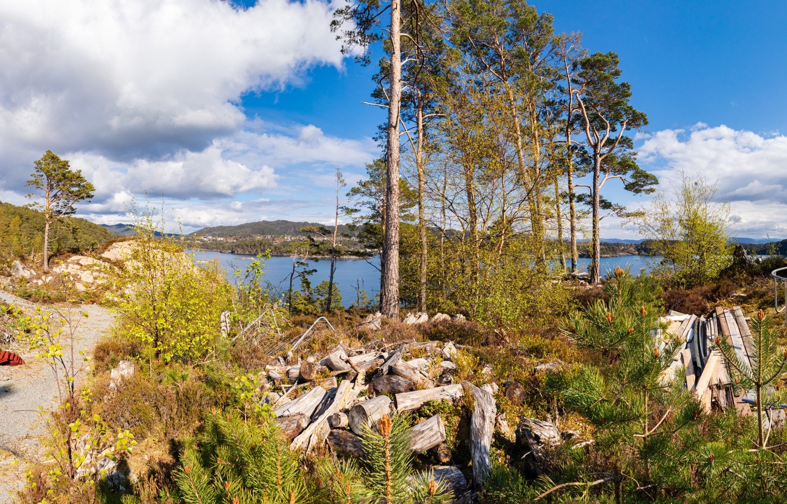 Ta kontakt med megler dersom det er spørsmål om tomt, Skorpo eller området rundt. Galleribilde