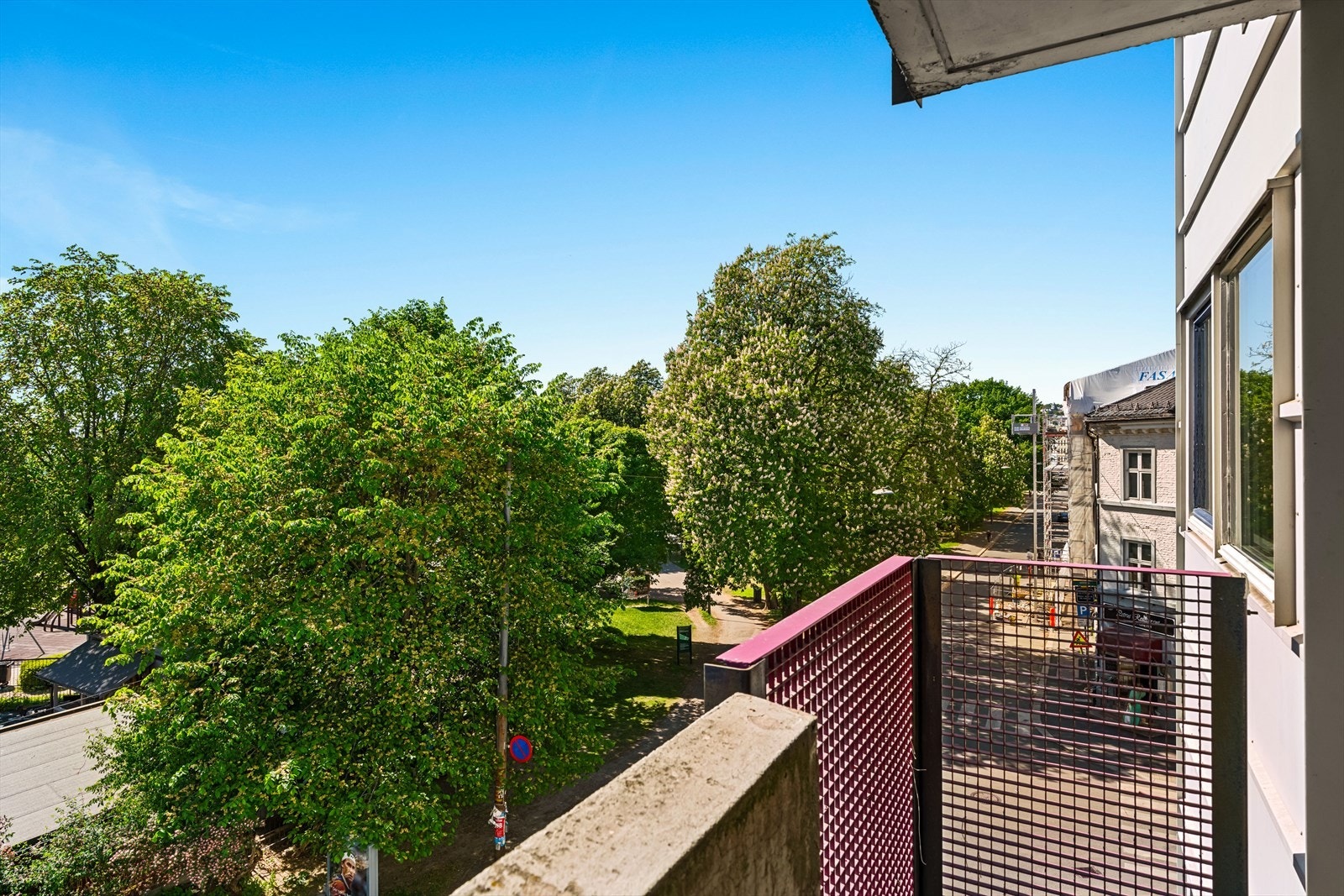 Her blir du møtt av store, tette trær og frodige grøntarealer så langt øye kan se. Galleribilde