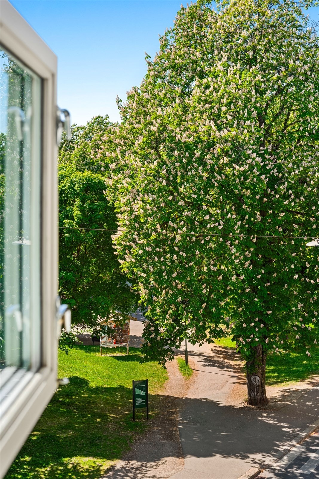 Åpne vinduene og la sommeren slippe til. Et frodigere utsyn fra stuevindu skal du lete lenge etter! Galleribilde
