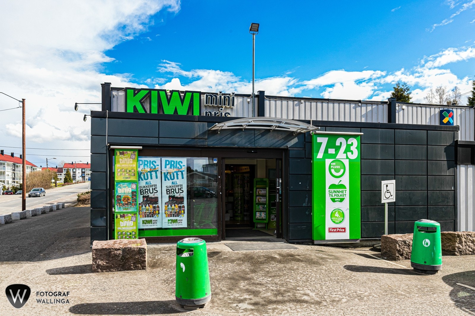 Kiwi på Fjell. Galleribilde