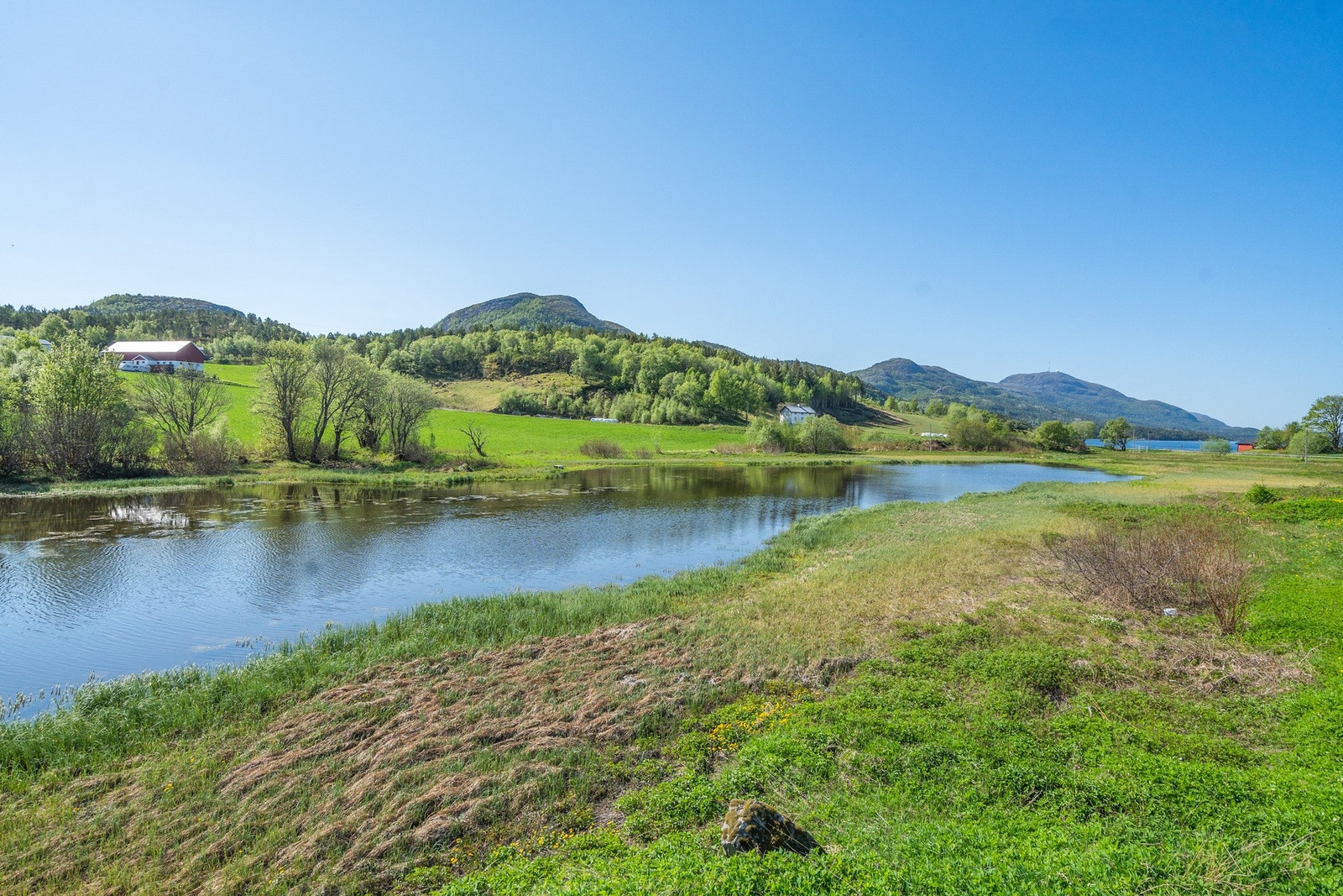 Nærområdet Galleribilde