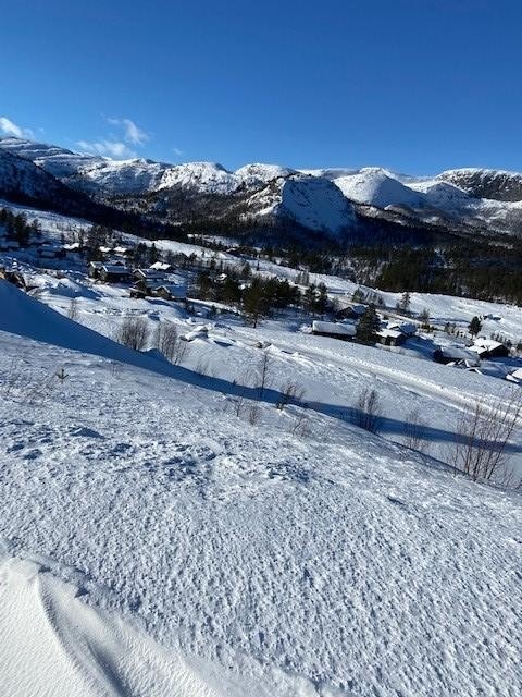 Bilde tatt 25.02.22 kl 15 Galleribilde