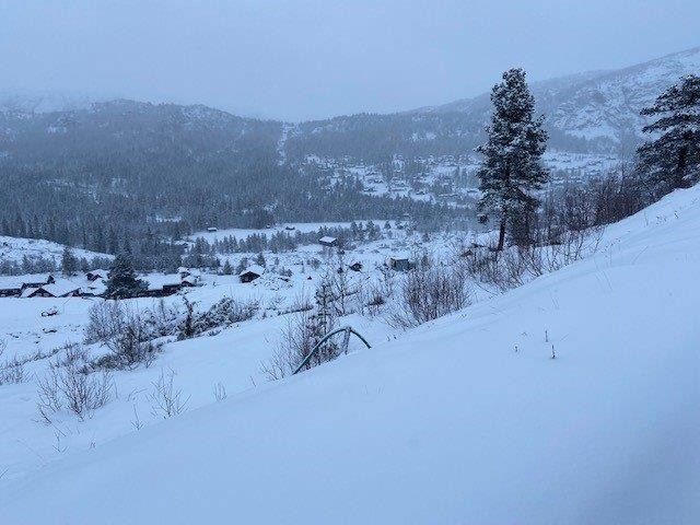 Skrånende tomt Galleribilde