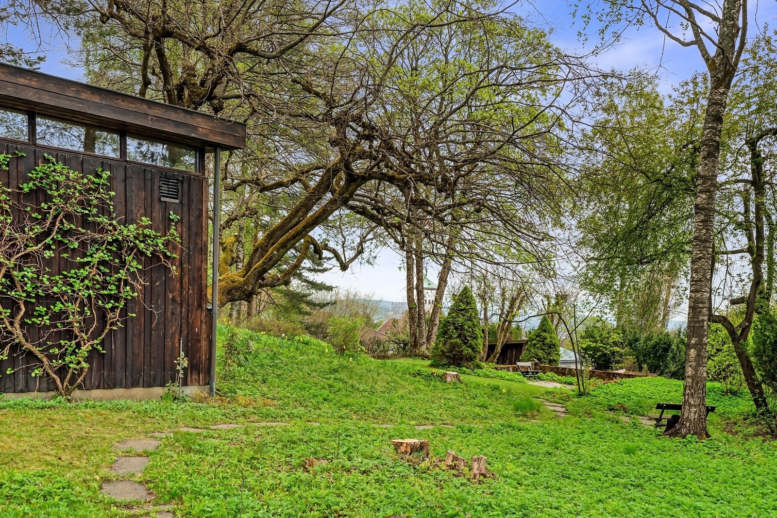 Svakt skrånende tomt som skråner ned mot syd/sydvest. Galleribilde