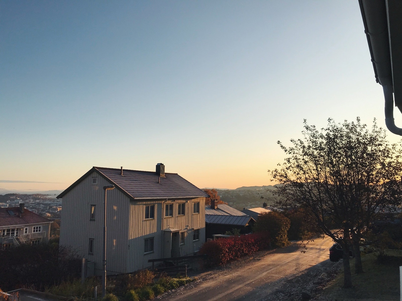 Selgers eget bilde. Galleribilde