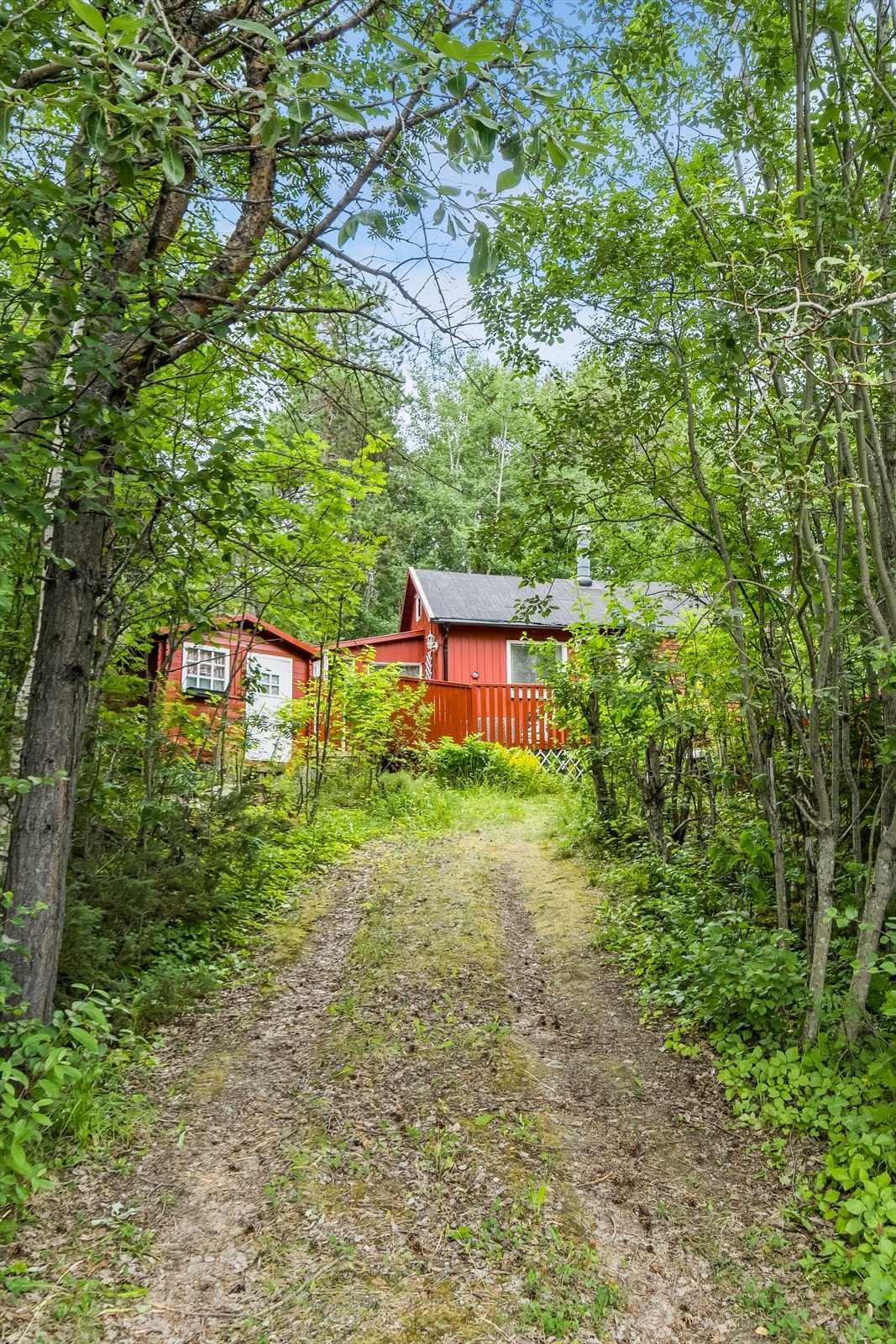 Det er også mulighet til å kjøre helt til hytten via en kort skogsvei Galleribilde