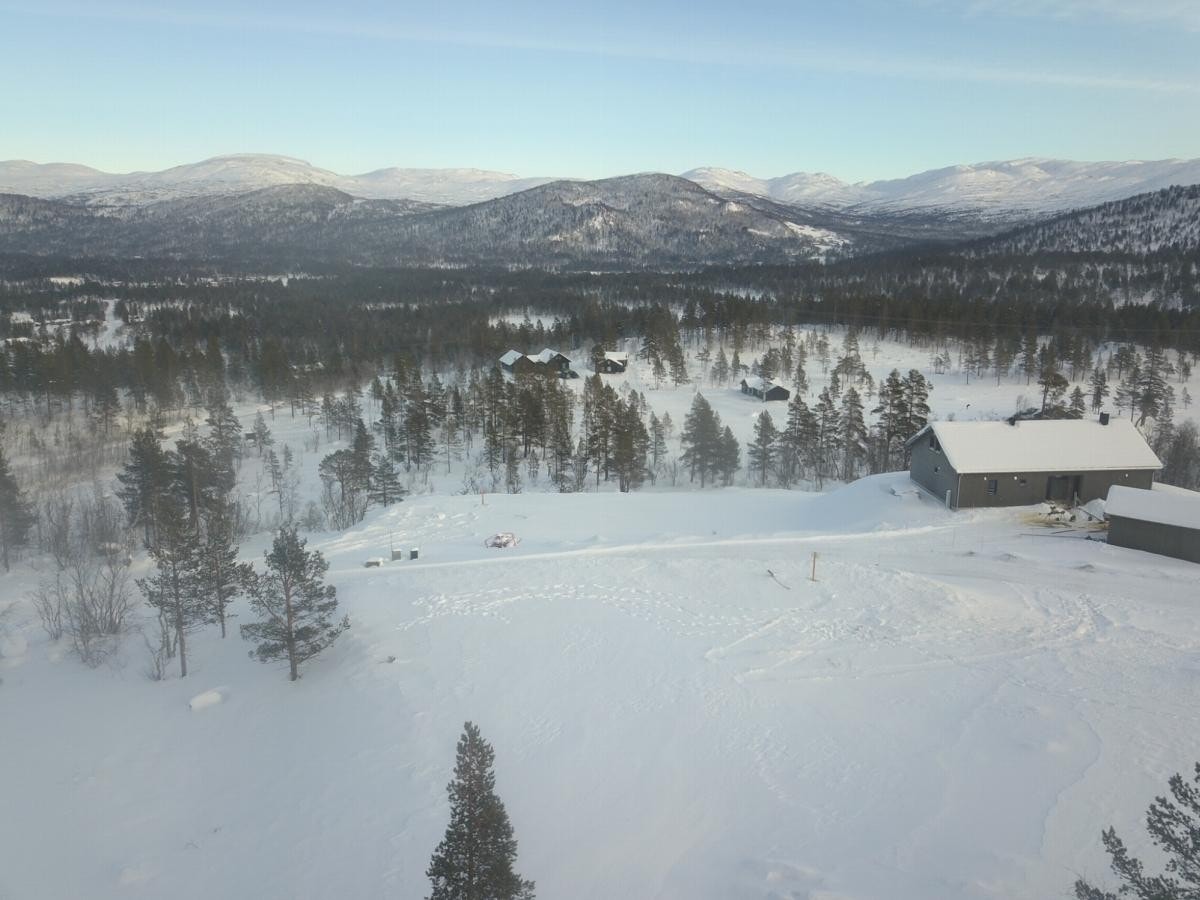 Flott utsikt Galleribilde