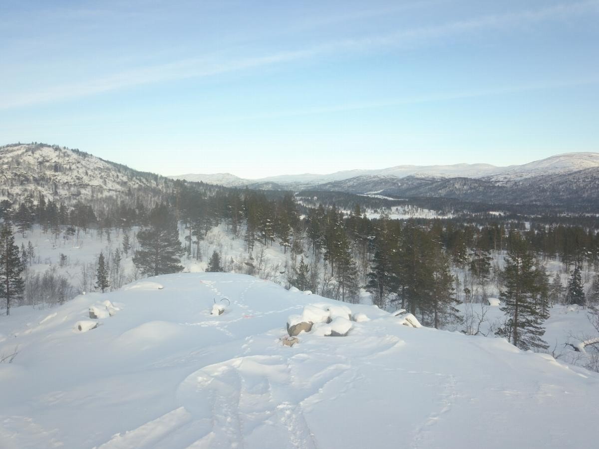 Flott utsikt Galleribilde