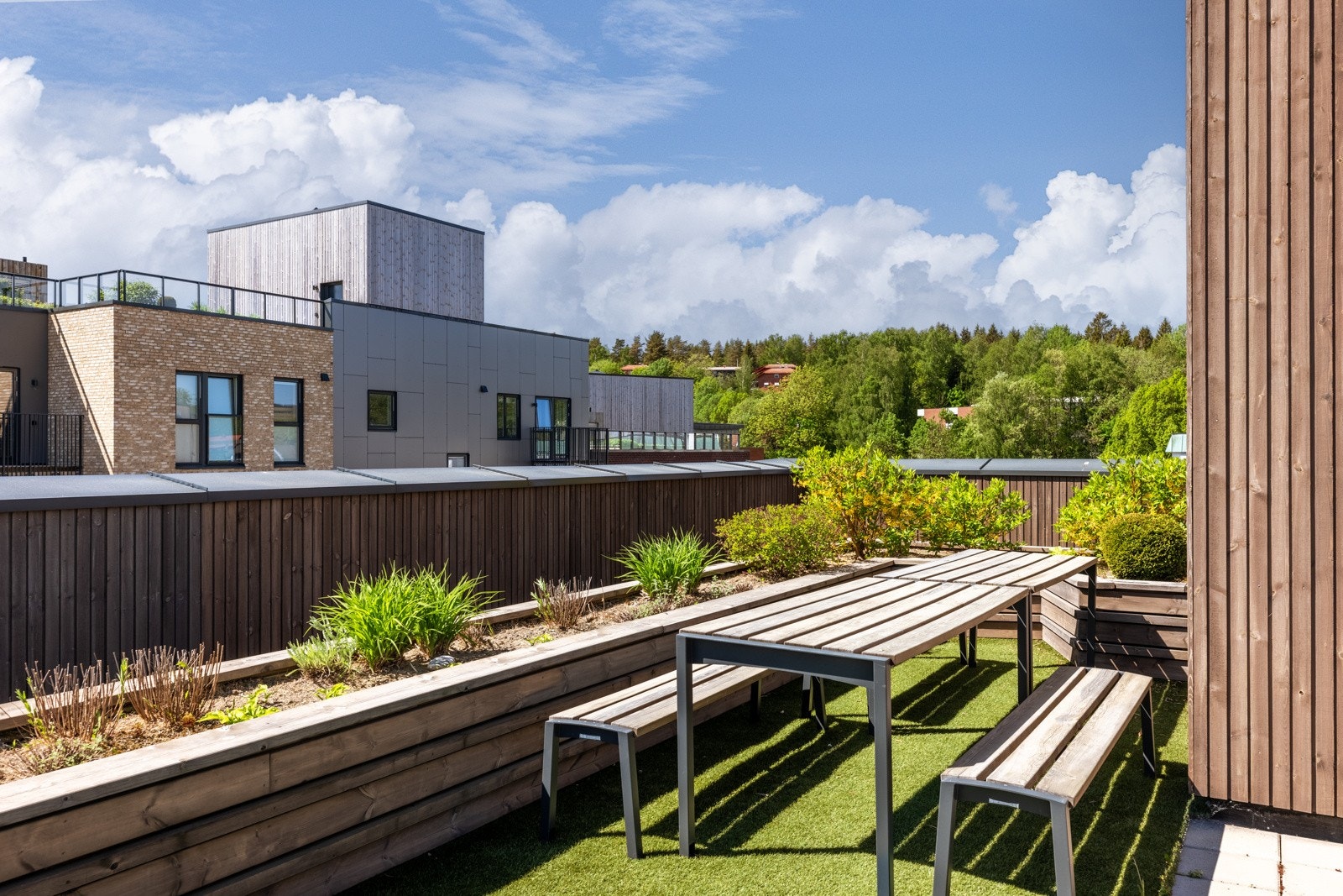 Felles takterrasse. Galleribilde