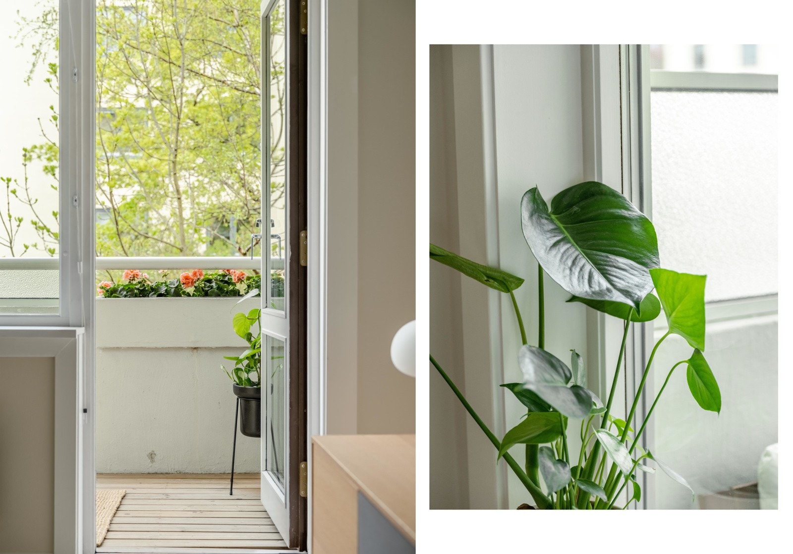 Trærne i bakgården utenfor gjør at man kan følge med på de ulike årstidene gjennom stuevinduet. Galleribilde