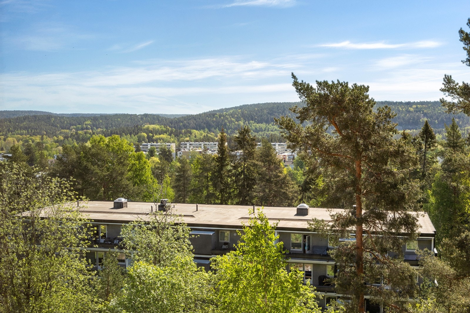 Utsikt fra leiligheten, her mot marka Galleribilde