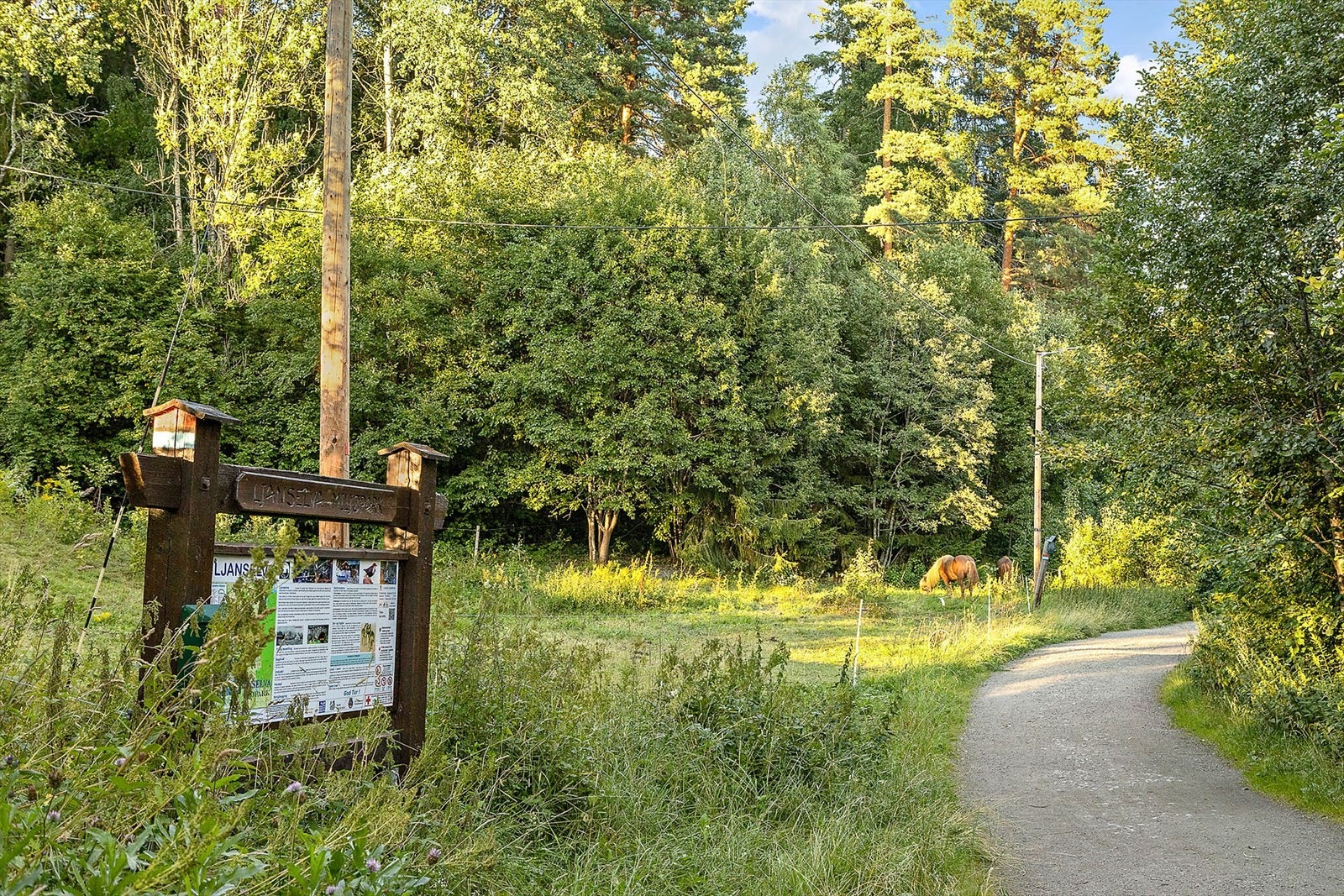 Om sommeren finnes det stier, lysløyper og turveier som er fine til turgåing, sykling og løping. Om vinteren blir det kjørt opp skispor i lysløypene i tillegg til et stort nettverk av andre løyper. Galleribilde