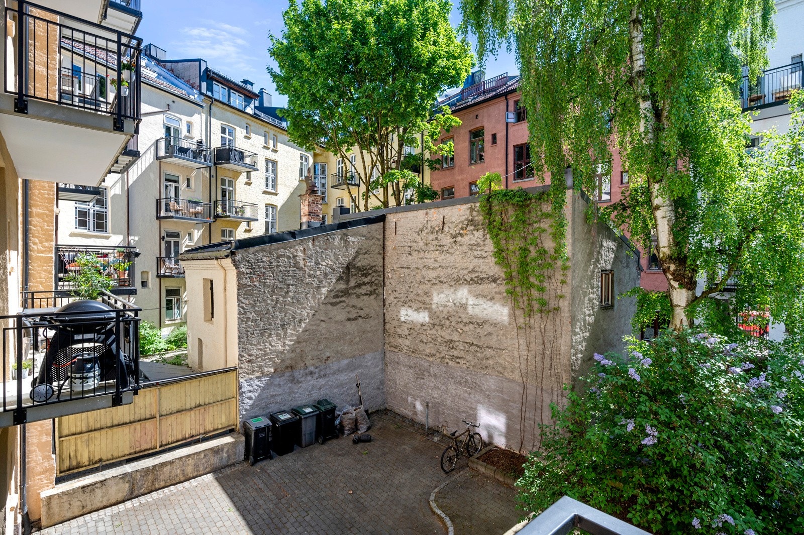Bakgård. Galleribilde