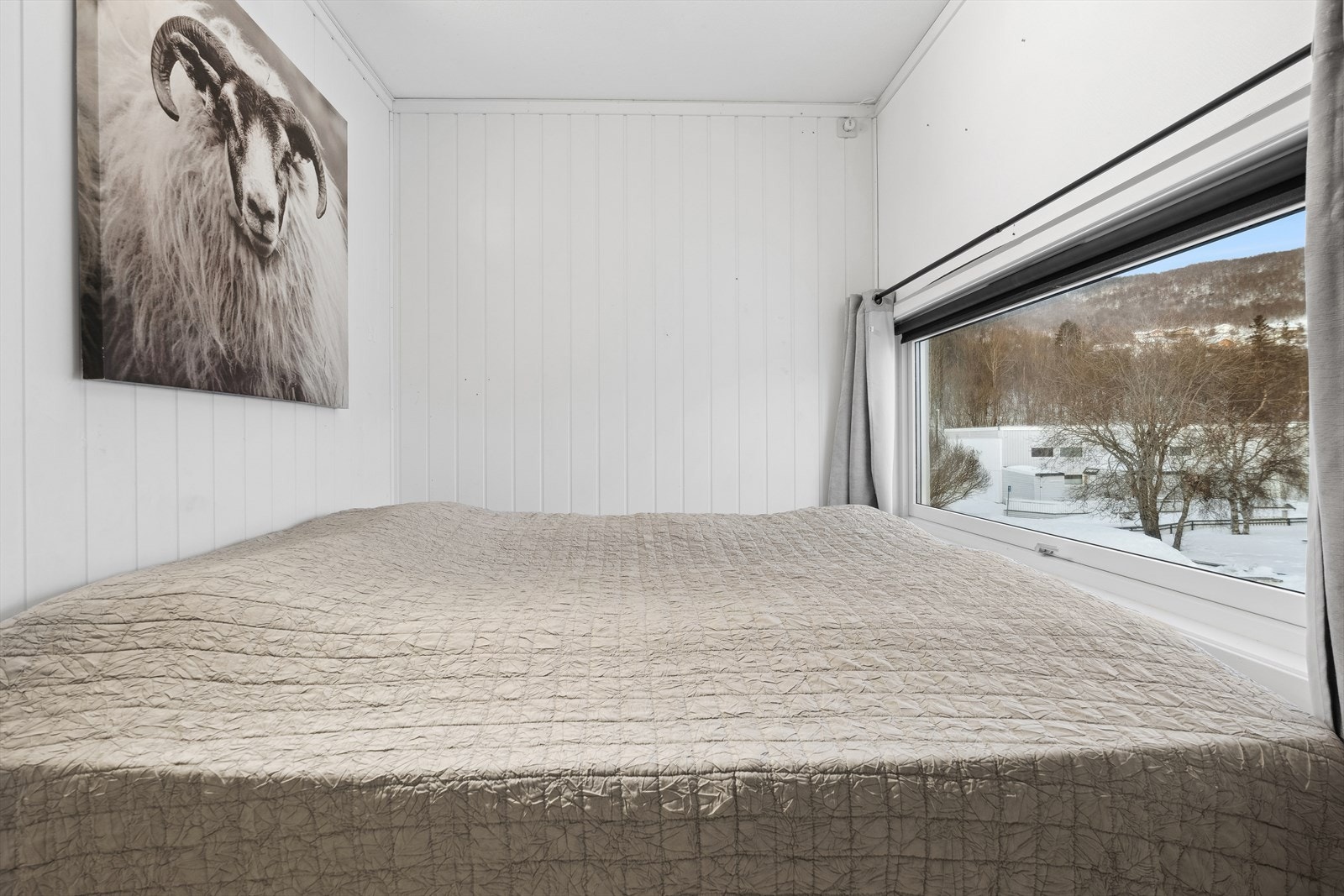 Her er det plass for dobbeltseng Galleribilde