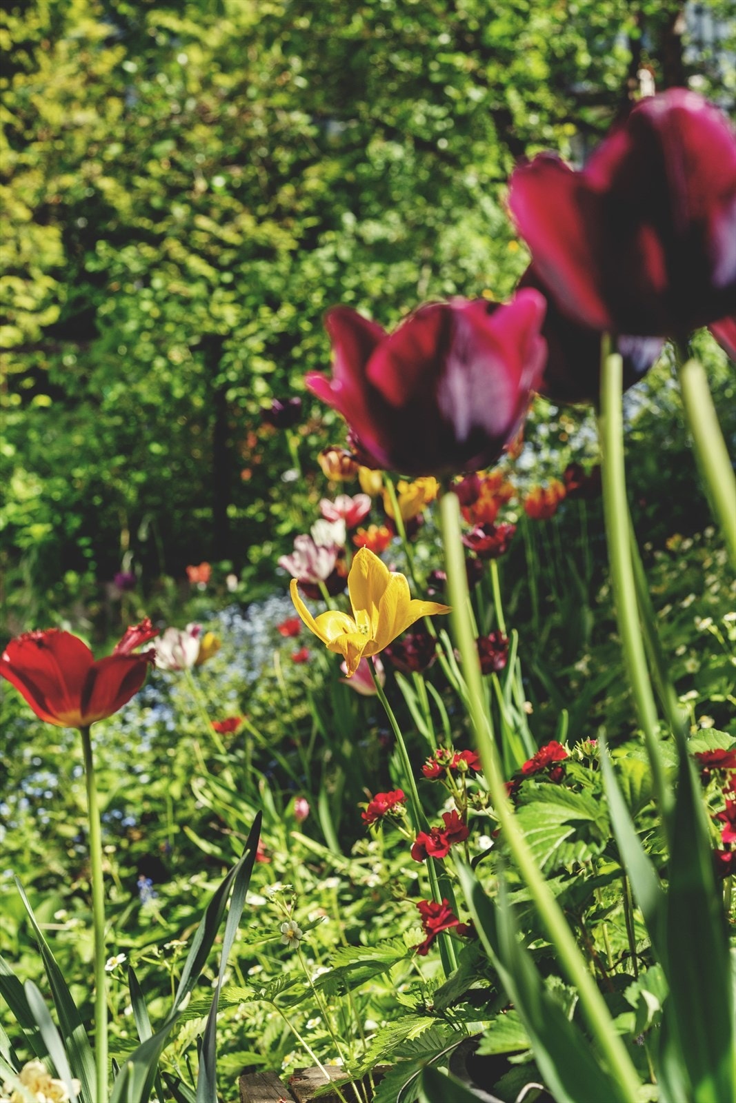 Fra leiligheten har du umiddelbar nærhet til bussruter 27 og 20 - I tillegg er det kort gangavstand til tog fra Oslo S, trikk og T-bane Galleribilde