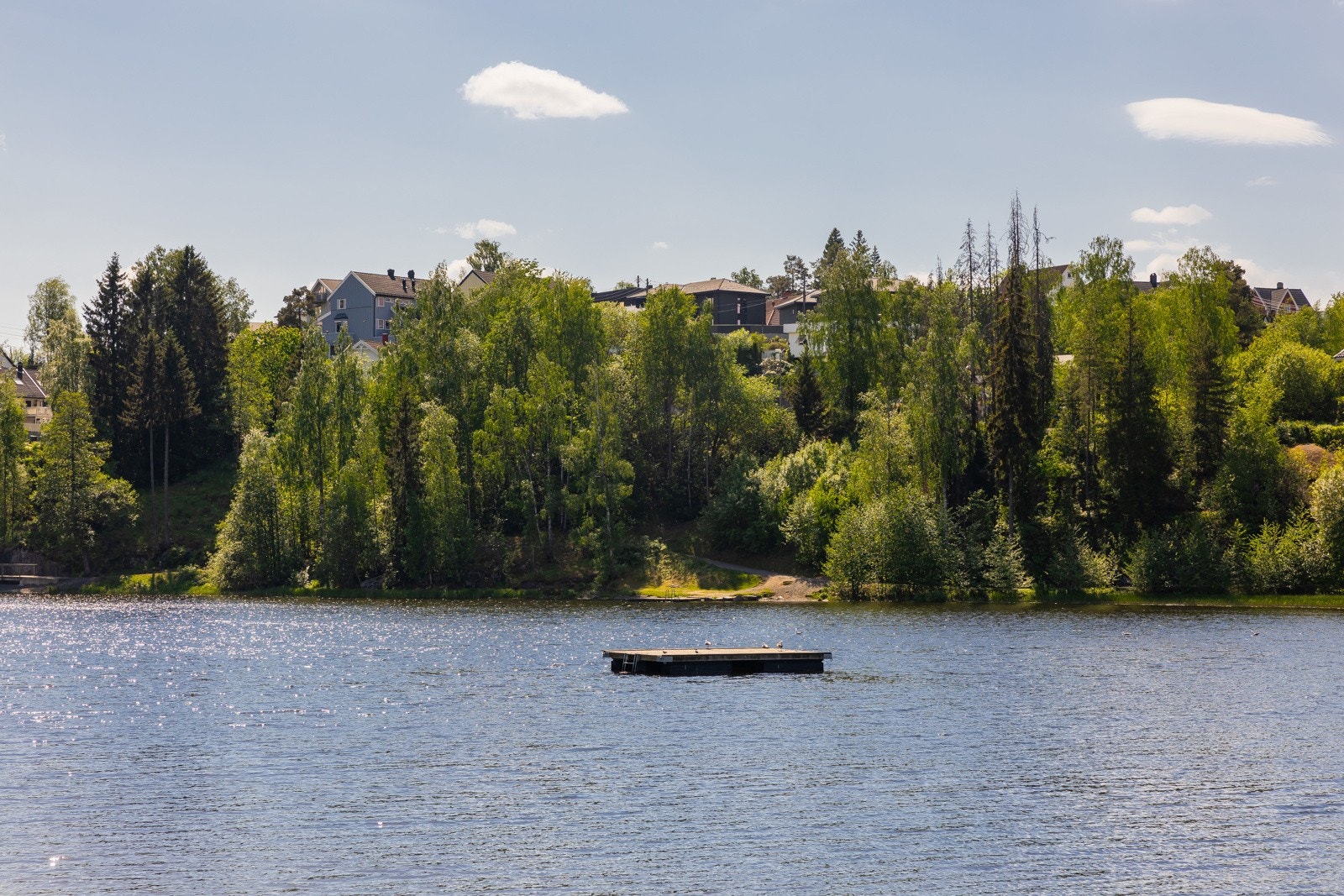 Langvannet med langgrunn badeplass. Galleribilde