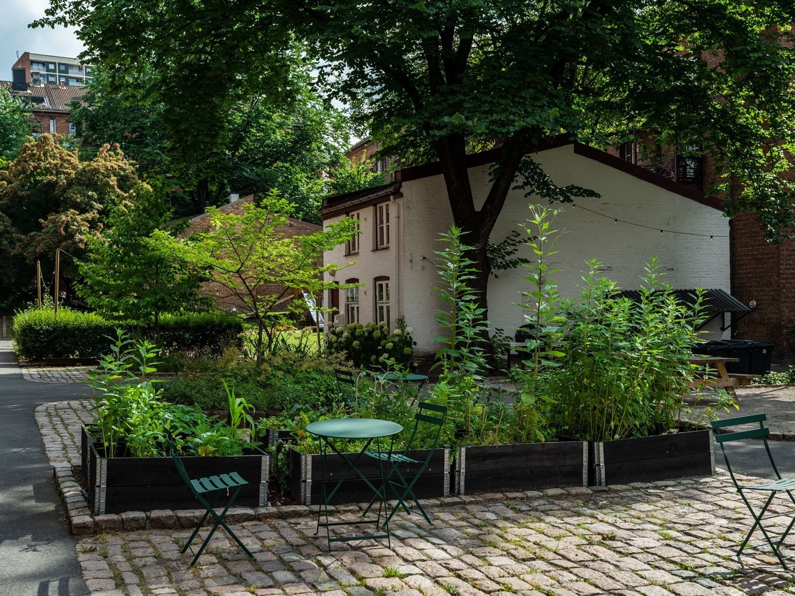 Bakgårdshuset har festrom, kjøkken og toalett i første etasje. I andre etasje er det soverom med mange sengeplasser. Fint å ha når familie eller venner kommer på overnattingstur til Oslo. Galleribilde