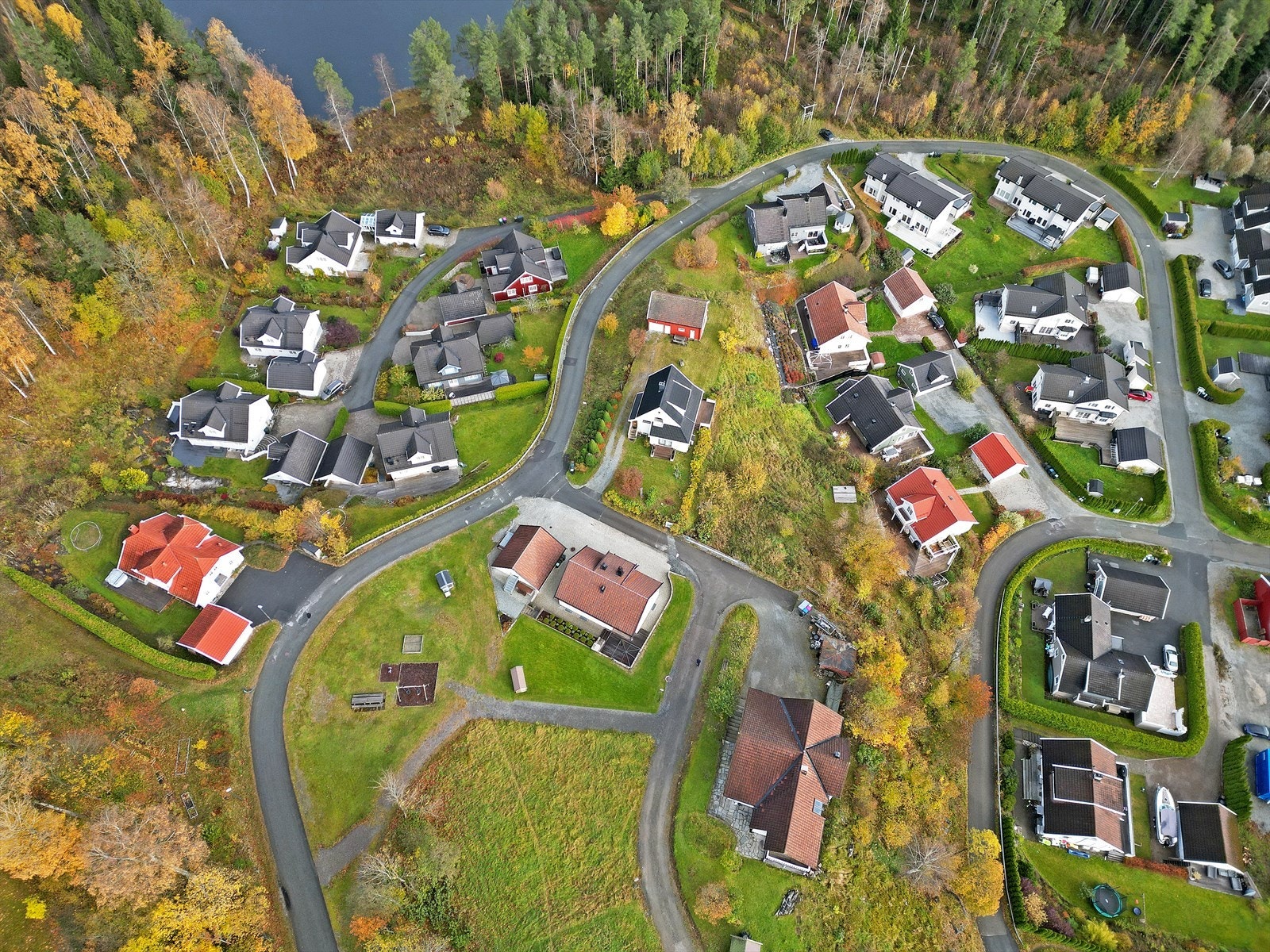 Kort vei til friareal rundt Svarteputt med vann og skog. Galleribilde