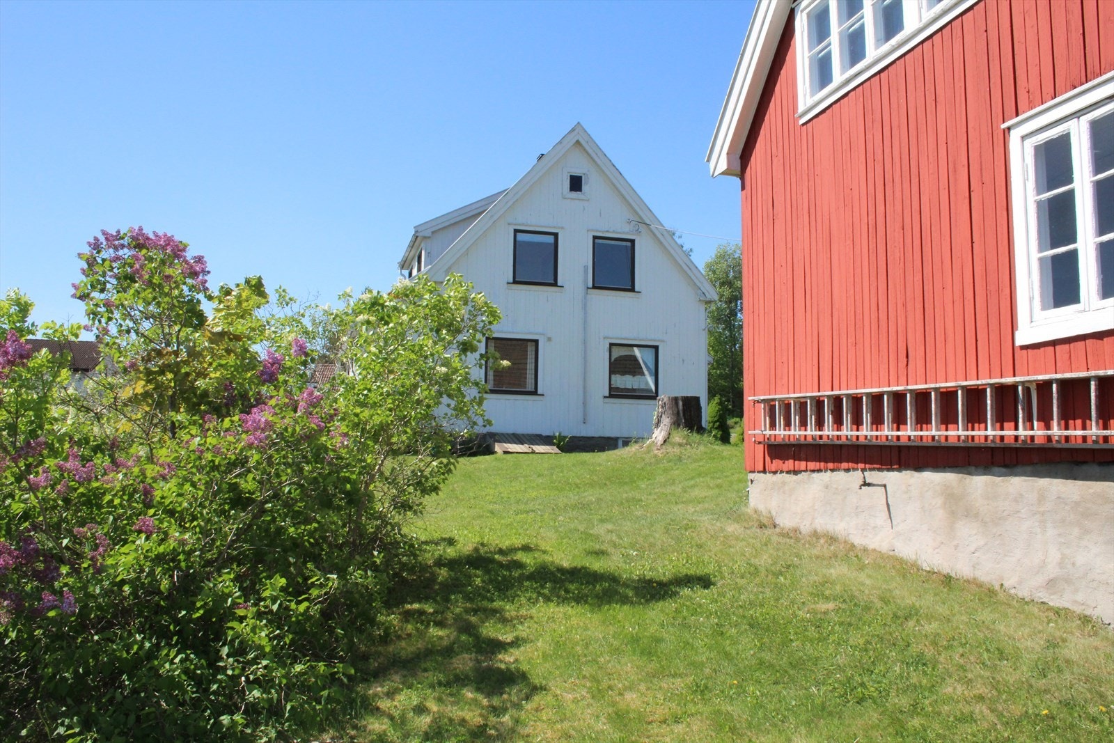 Selgers bilde. Galleribilde