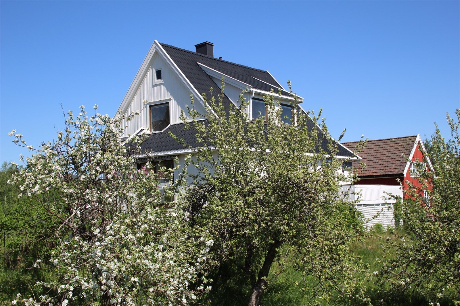 Selgers bilde. Galleribilde