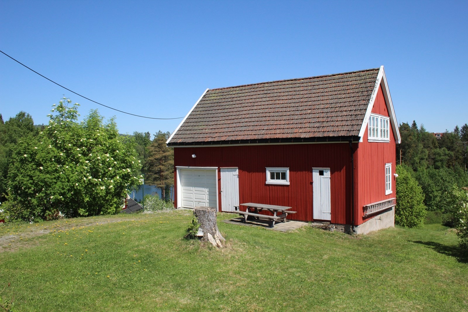 Selgers bilde. Galleribilde