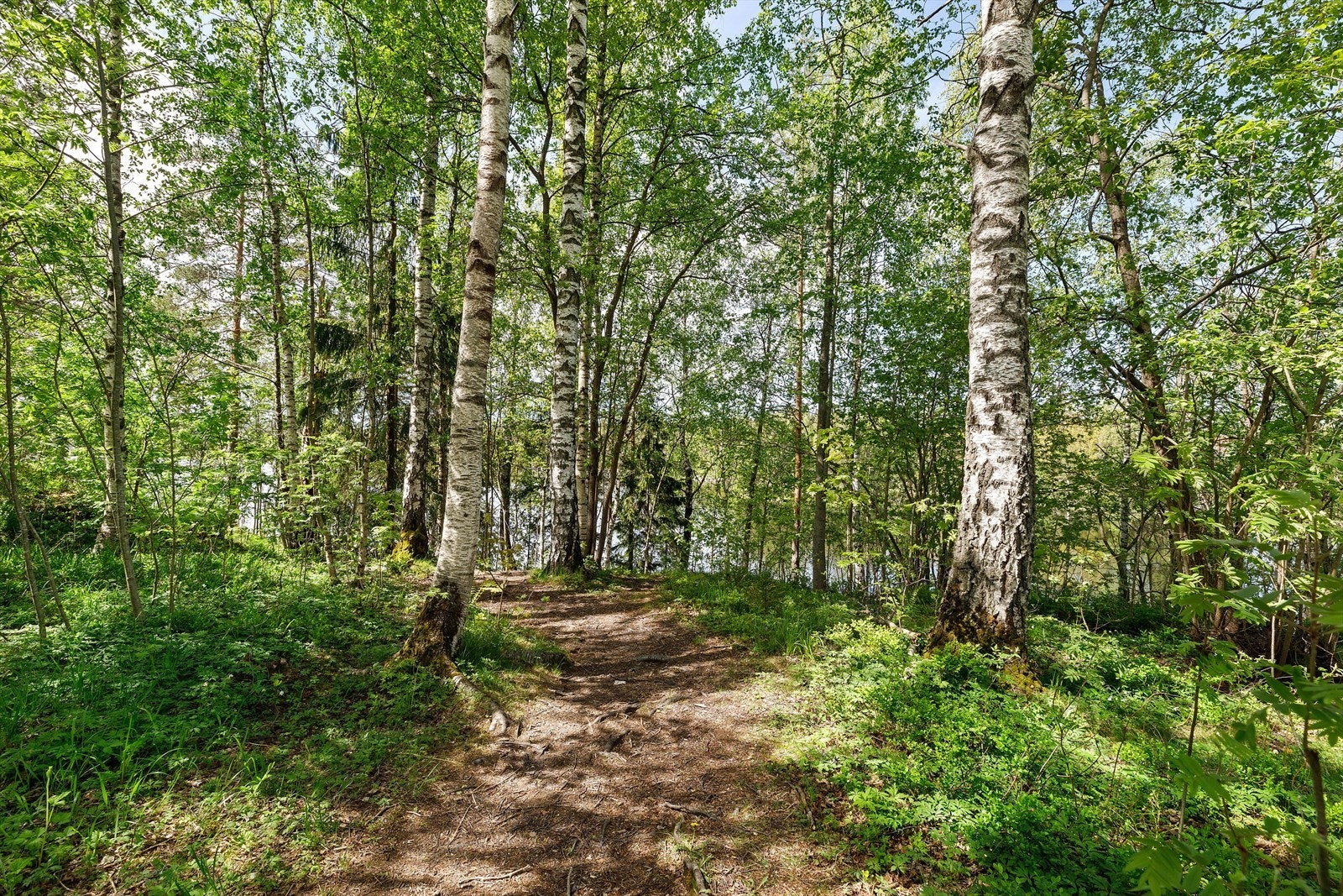 Den flotte beliggenheten gjør at du kan nyte lett tilgjengelige skogsområder med mangfoldige stier og idylliske innsjøer. Galleribilde