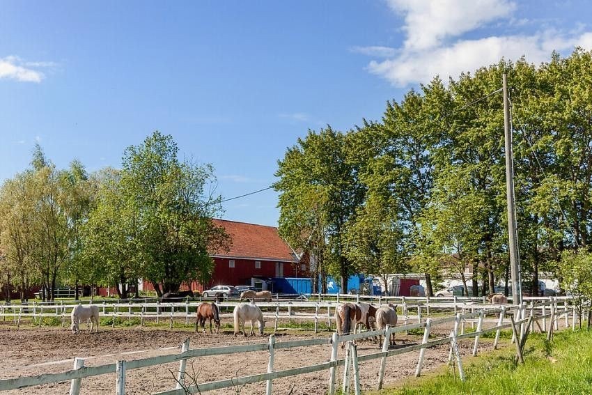 Hestejordet på Nordtvet gård. Galleribilde