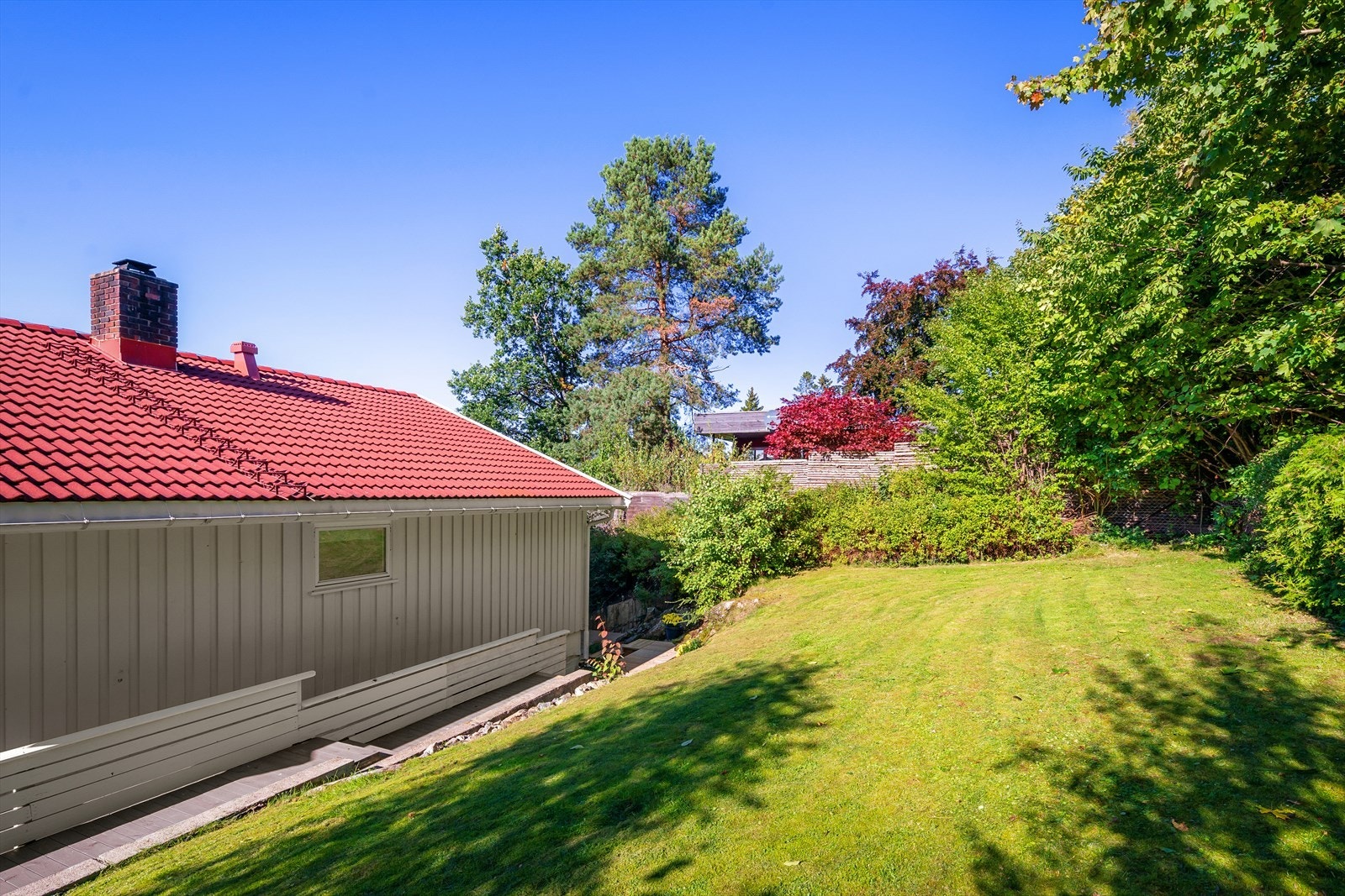 Hagen bak huset Galleribilde