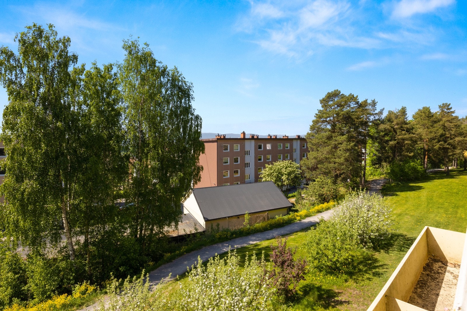 Grønn og hyggelig utsikt over fellesareal og nærområdet. Galleribilde