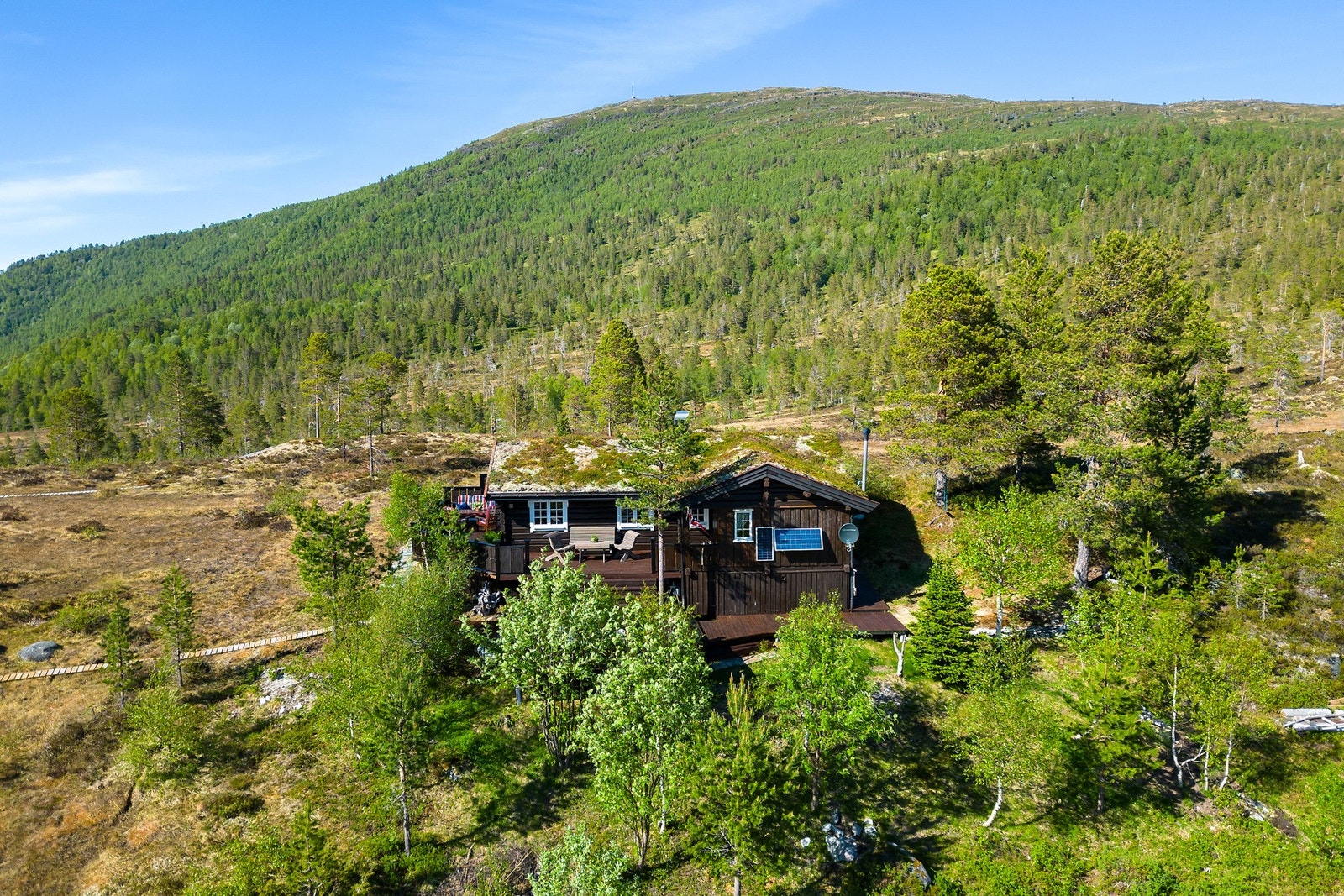 Områdebilde Galleribilde