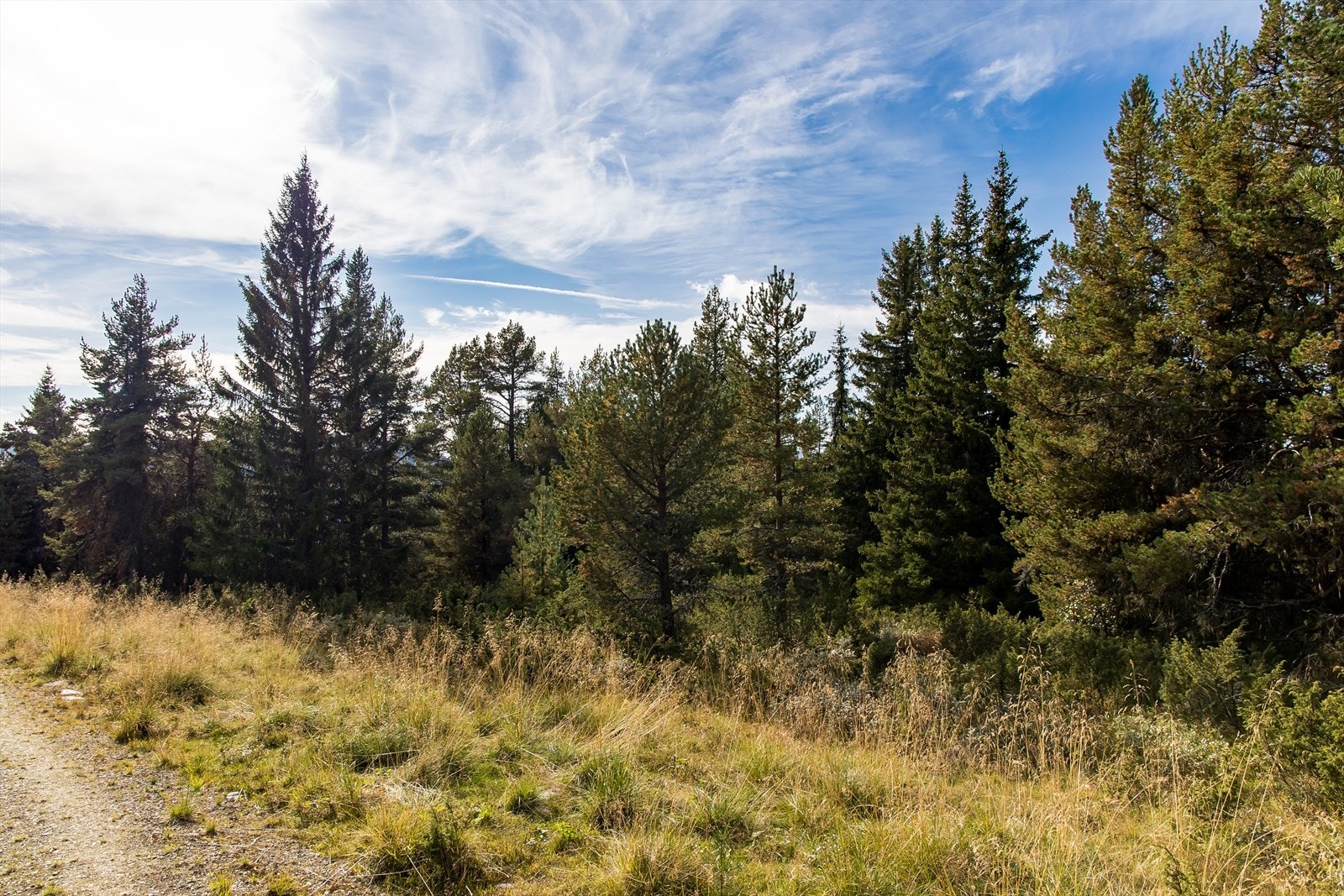 Meget godt utgangspunkt for fantastiske turmuligheter hele året. Galleribilde