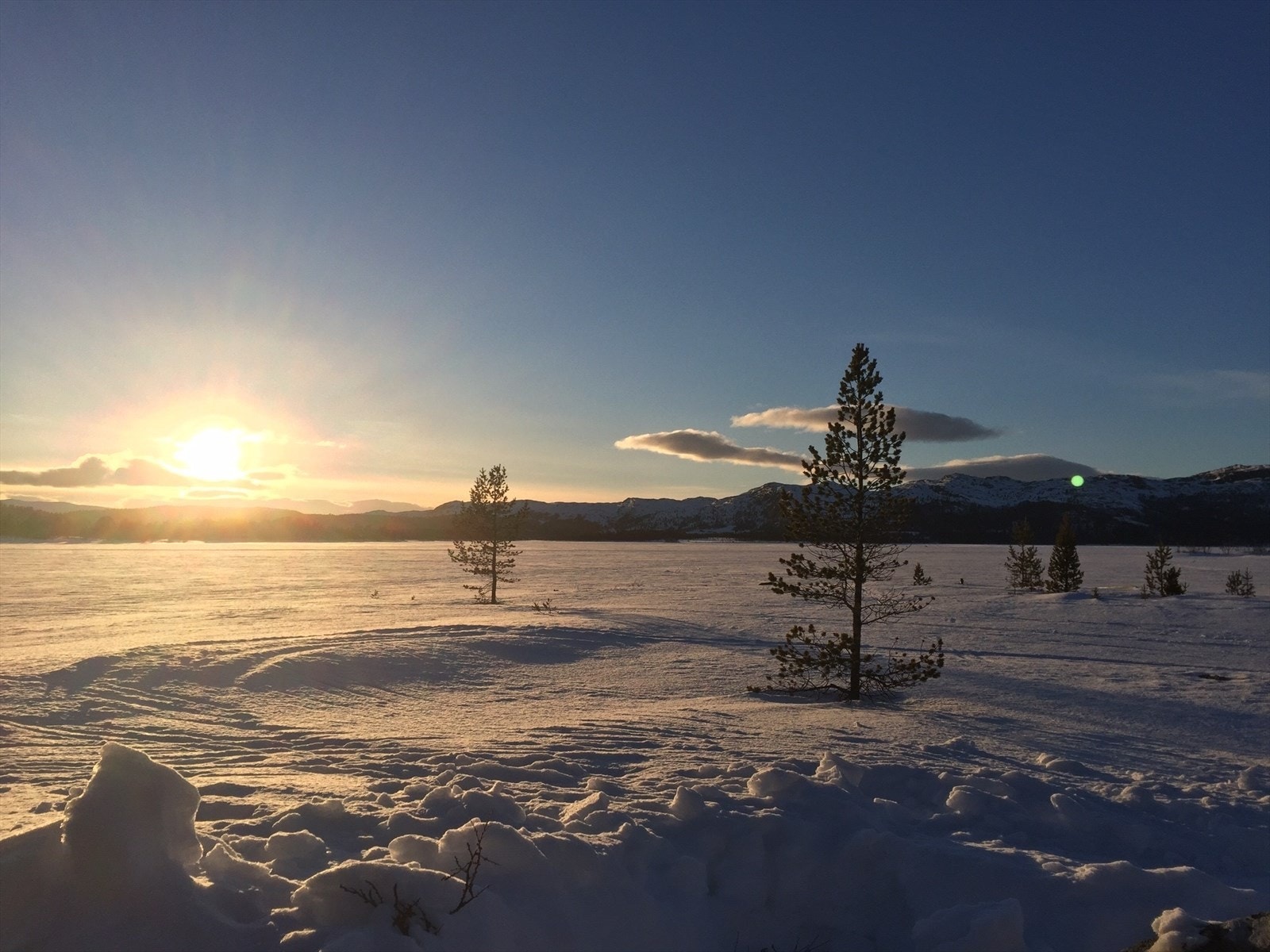 Kvamsfjellet er en helårsdestinasjon, som er like fin sommer som vinter. Bilde viser område rundt tomta. Galleribilde