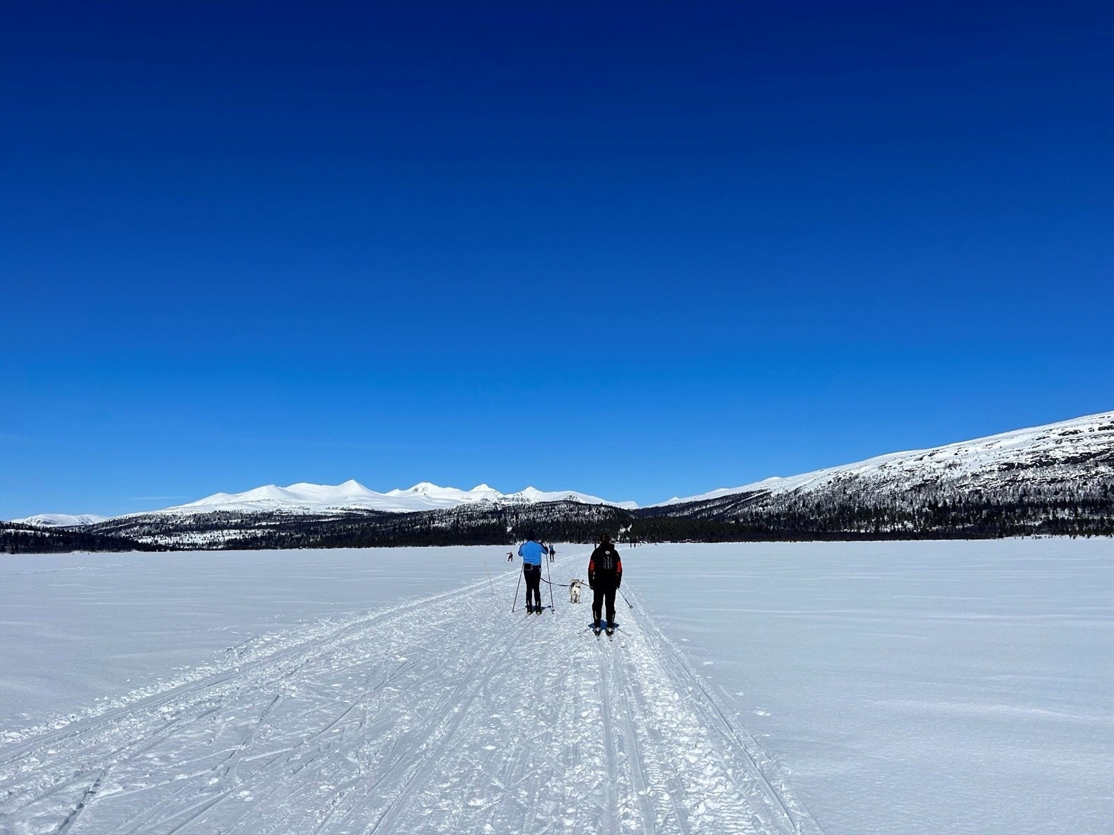 Løypenettet ligger i umiddelbar nærhet. Galleribilde