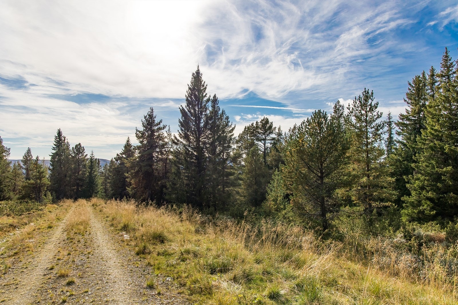 Tomten ligger fint og usjenert til i Vålåsjøvegen på Kvamsfjellet, som ligger i Nord-Fron kommune. Galleribilde