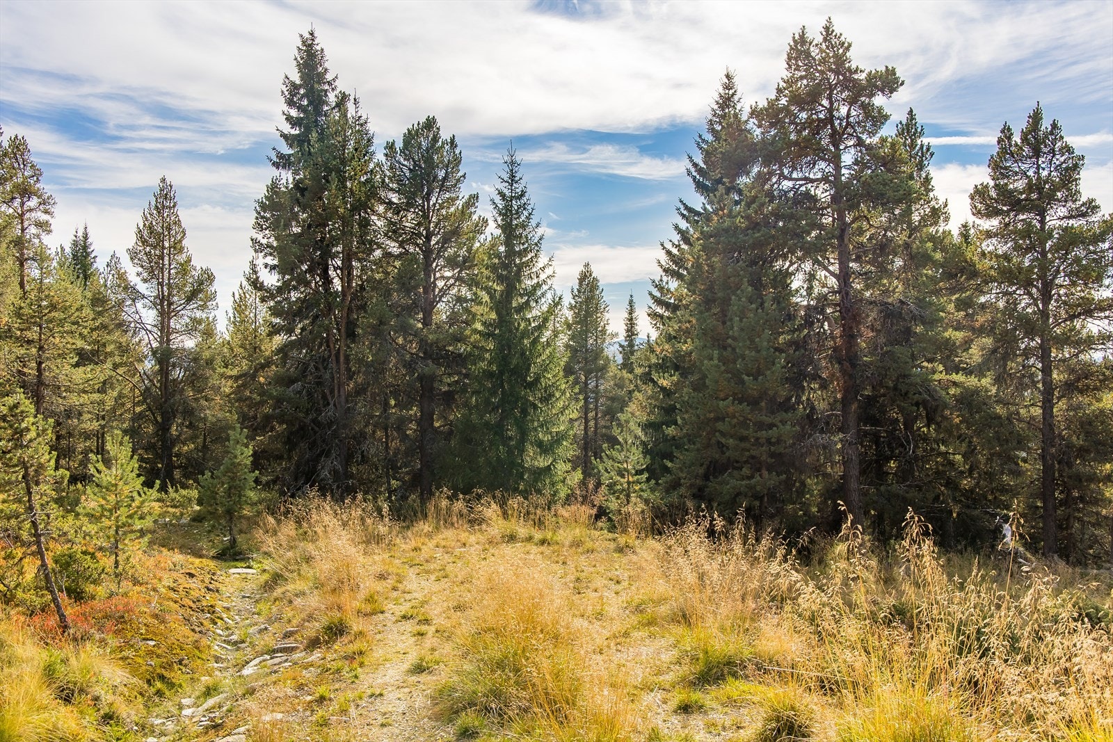 På sommeren er det rikelig med turstier, som kan oppleves både til fots og med sykkel. Galleribilde