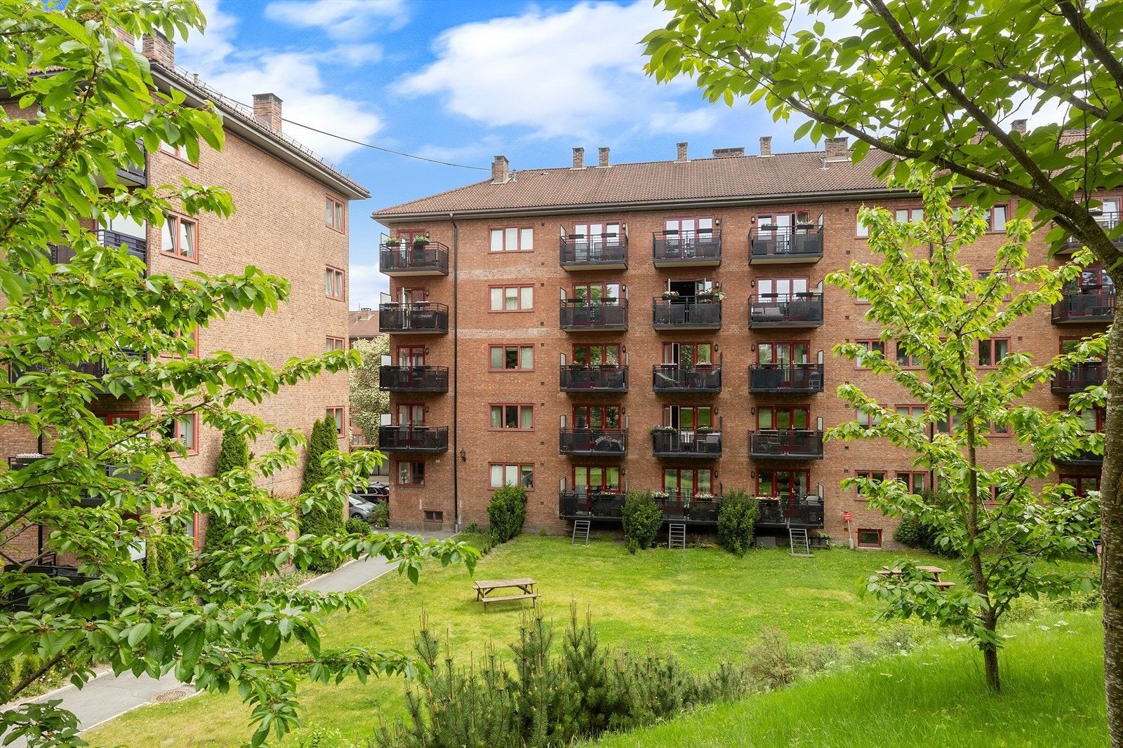 Et veldrevet og populært borettslag. Galleribilde